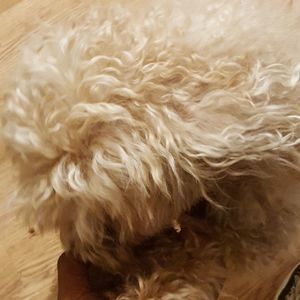 Meet your Posher, Julia